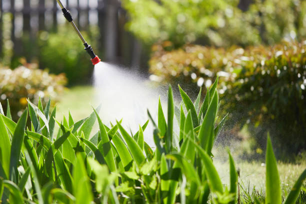 24/7 Emergency Wasp Removal experts in Cricket, NC