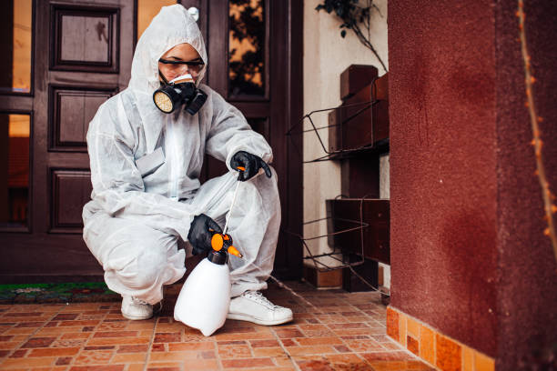 Reliable Wasp Removal contractor in Cricket, NC by Show Me Pest Control